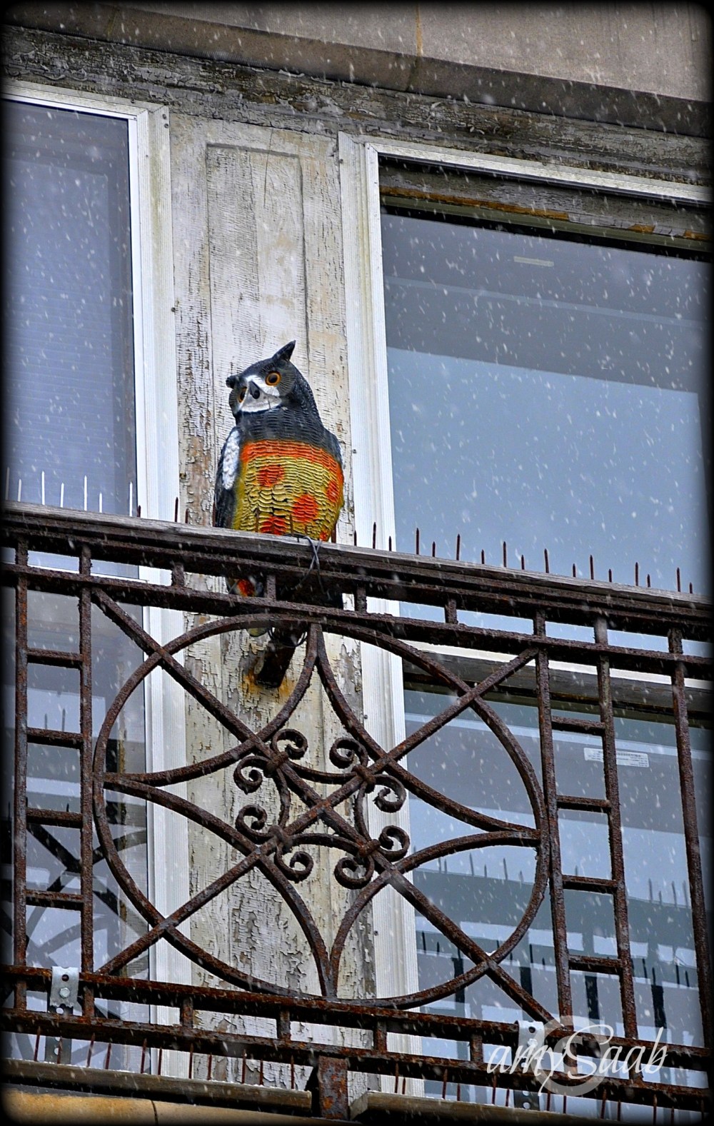 it always feels like somebody's watching me