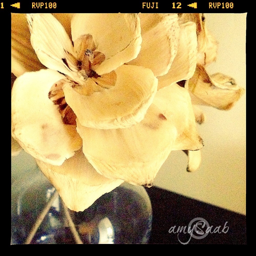 flower petals made from pine cone