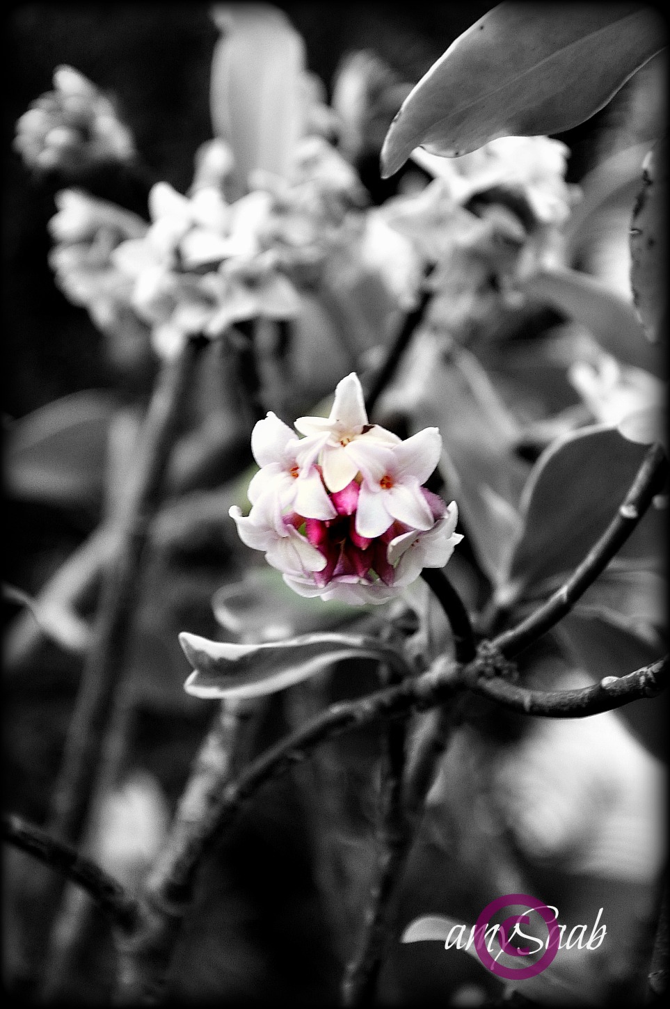 sorry, but i love doing this