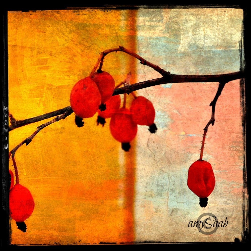 just playing with some poison berries