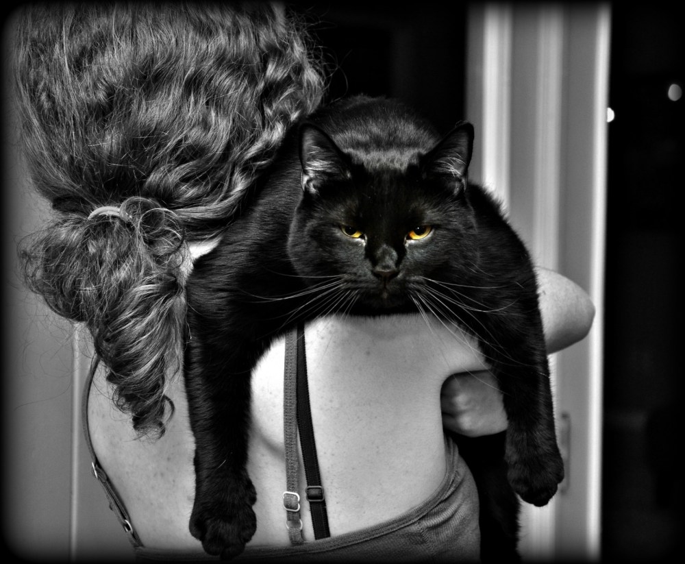 uh oh, i'm in trouble now