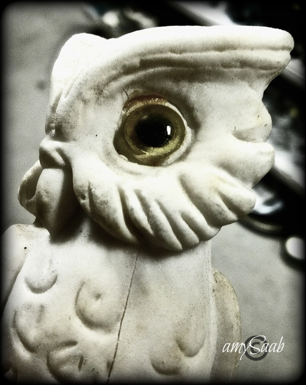 Ms. Wise Owl...what is the point?