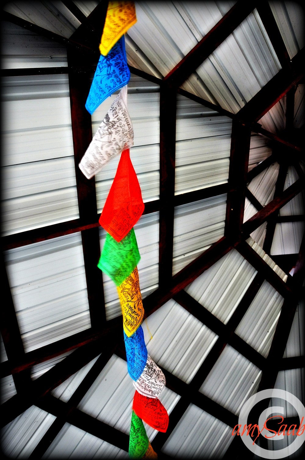 flags under a tin roof