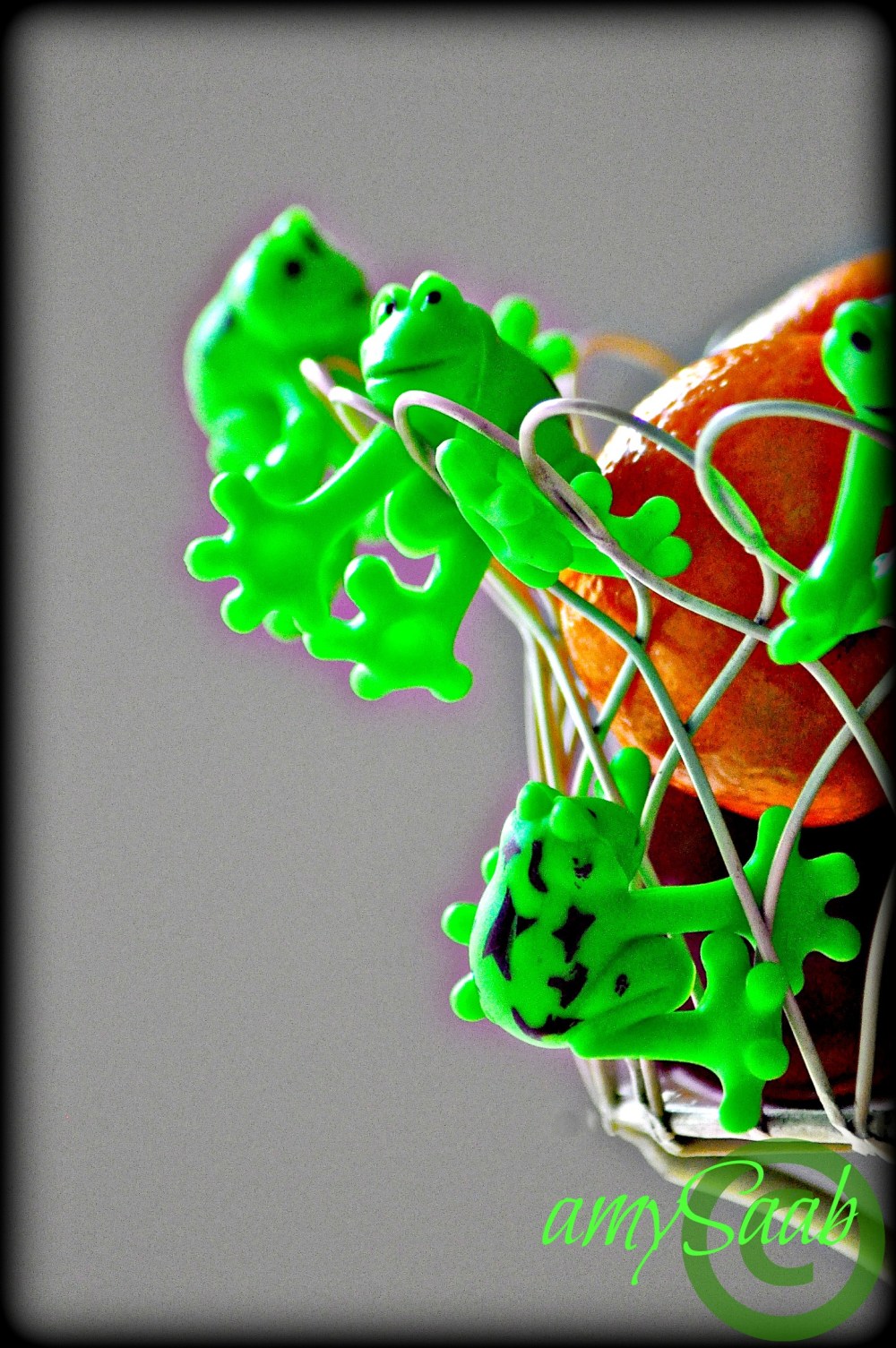 a plague that infests our home every Passover, aren't' they cute?