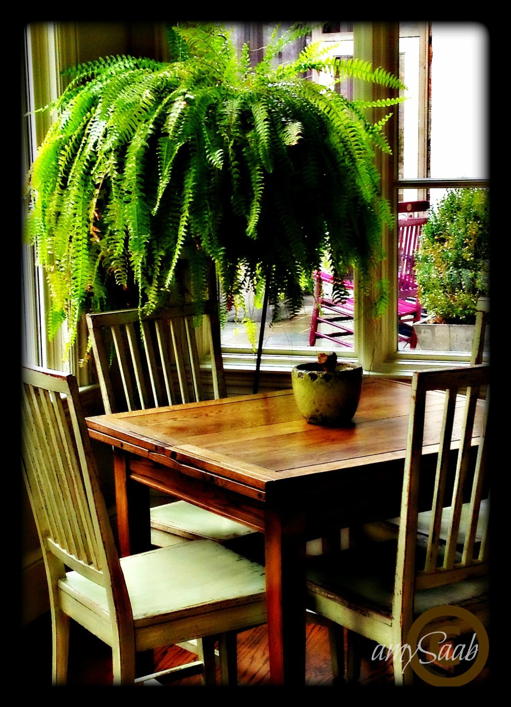 what a wonderful place to find your thoughts