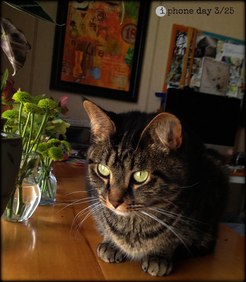 Hobbes working in the Studio