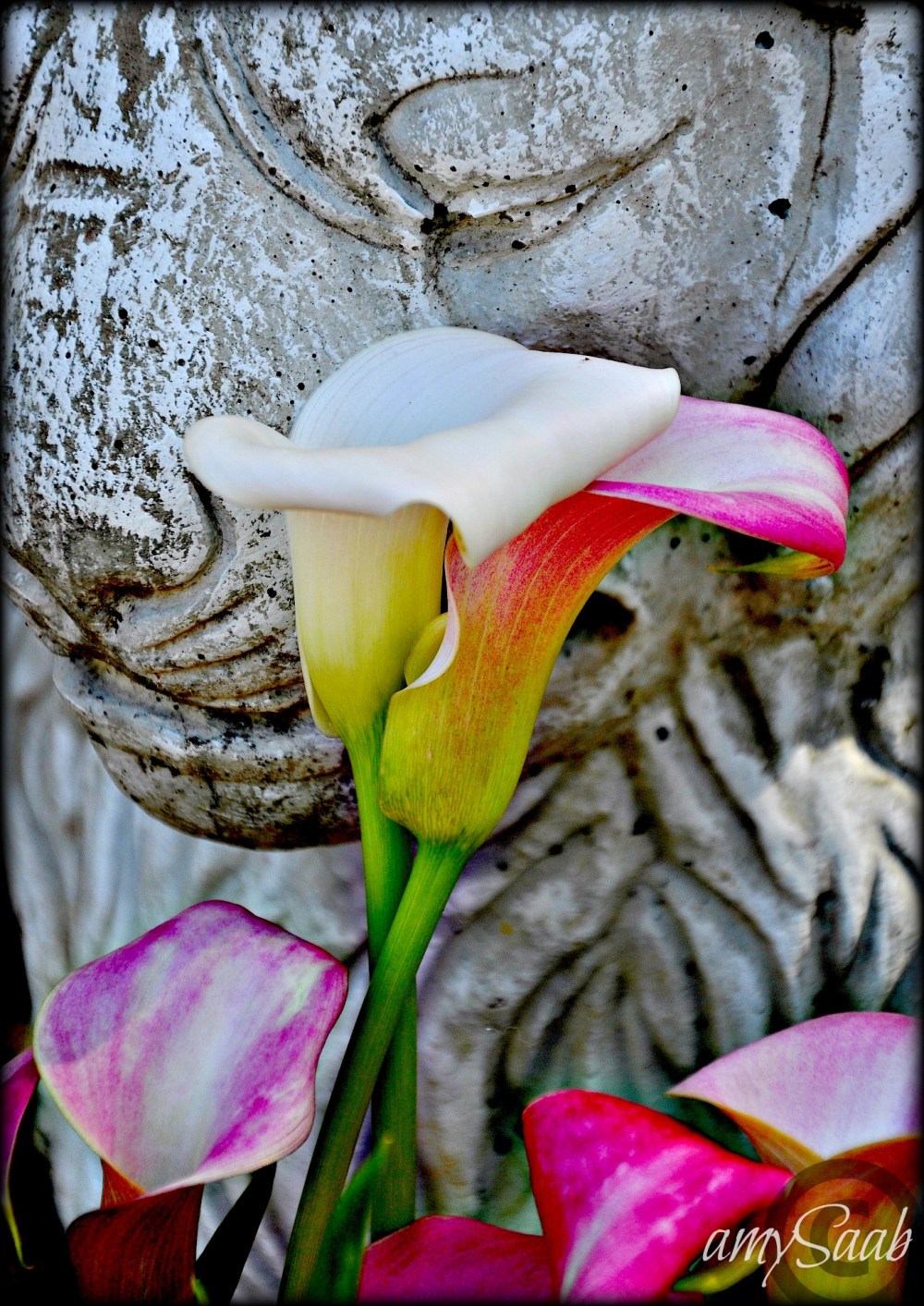 Levon likes his Lilies, he makes a lot they say