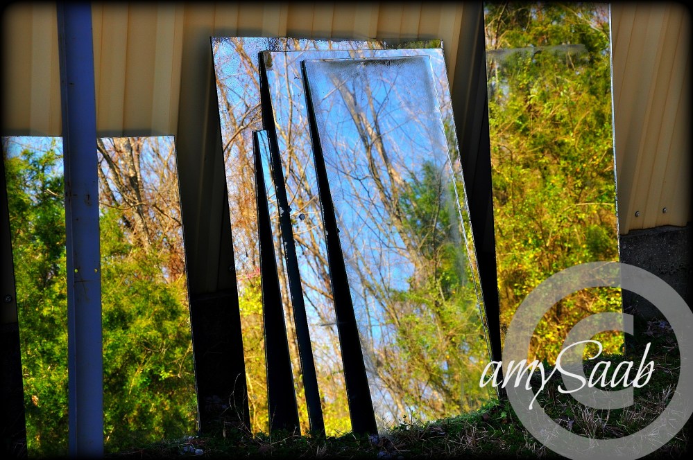 a whole new way to see nature