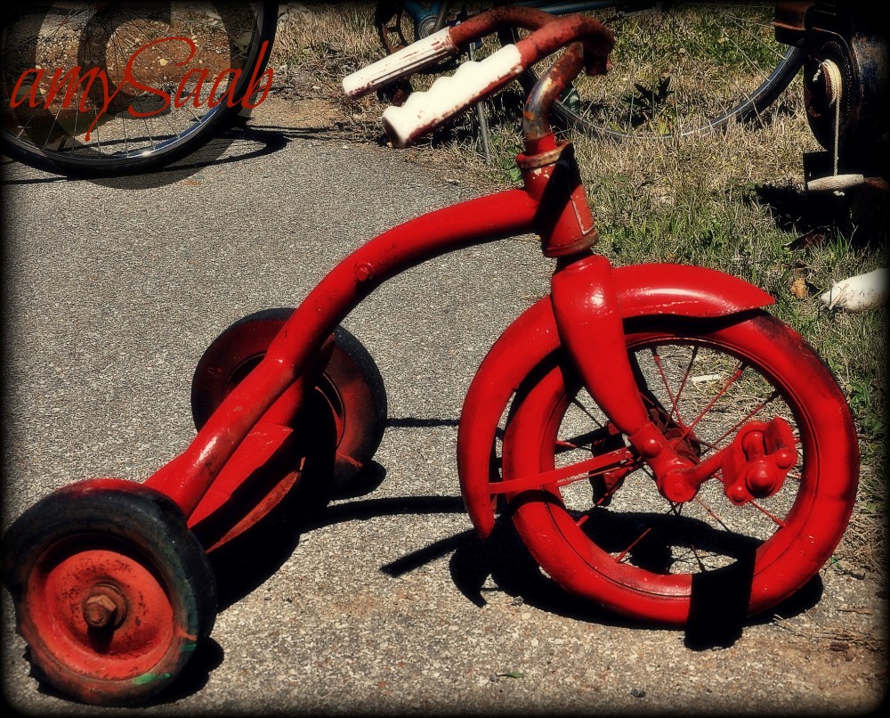 Who or what ate the back tire?