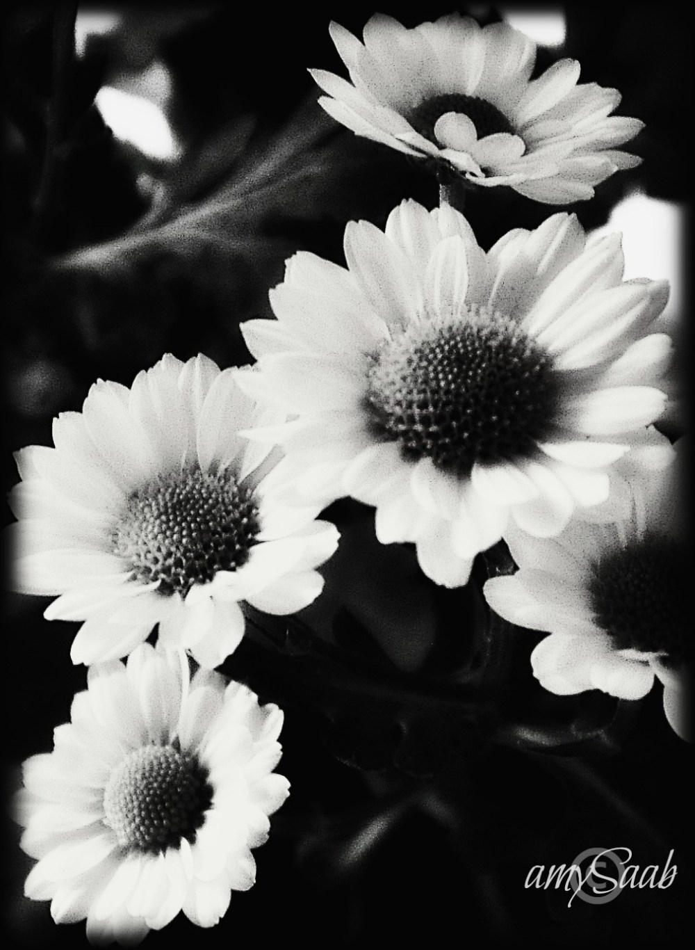 Shhh...depending on where you live