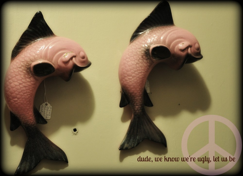 someone bought these once