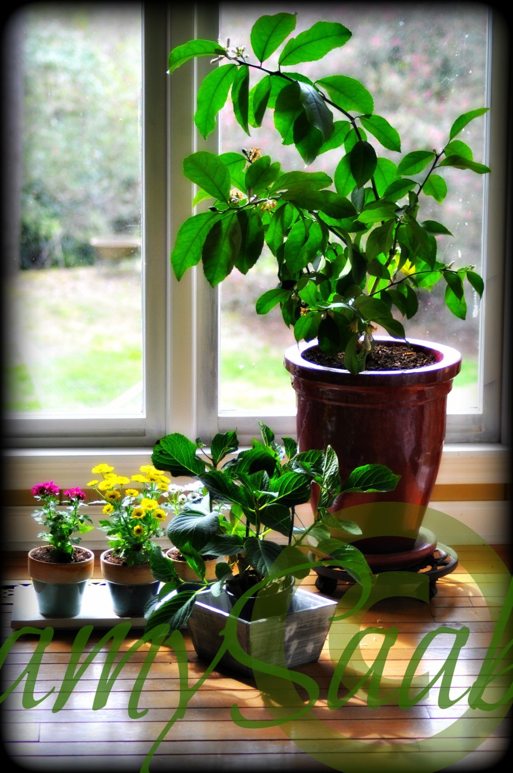 waiting for the north wind to end