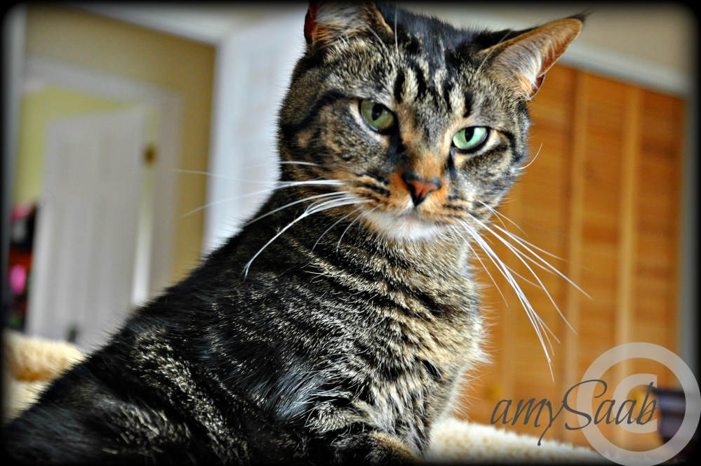 you want me to do what?!?