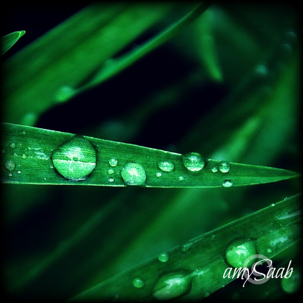 After the rain stopped