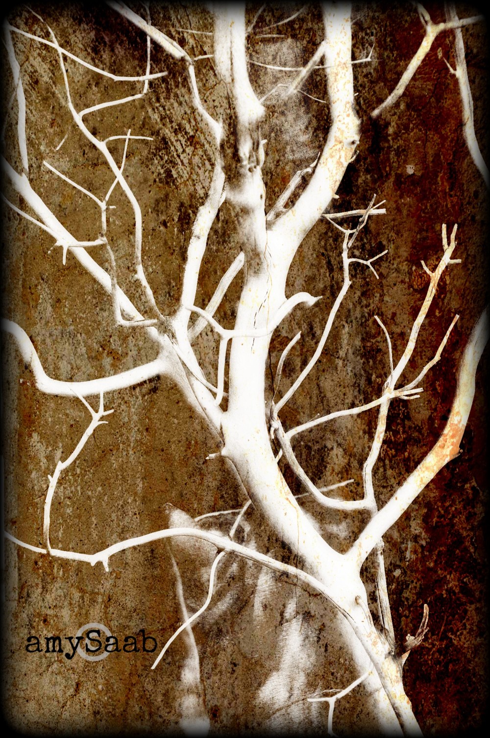branches @ Leaf & Petal