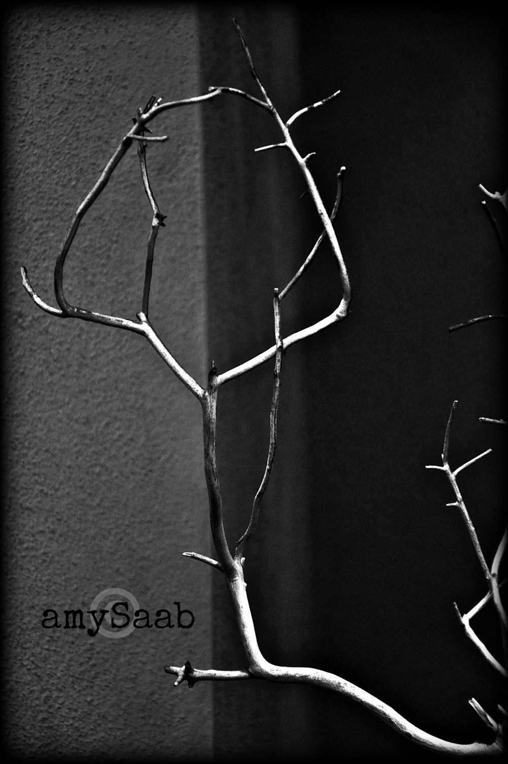 The strangest things can catch my eye