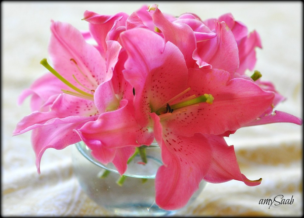 Doesn't it drive you crazy that the tablecloth is all messed up?