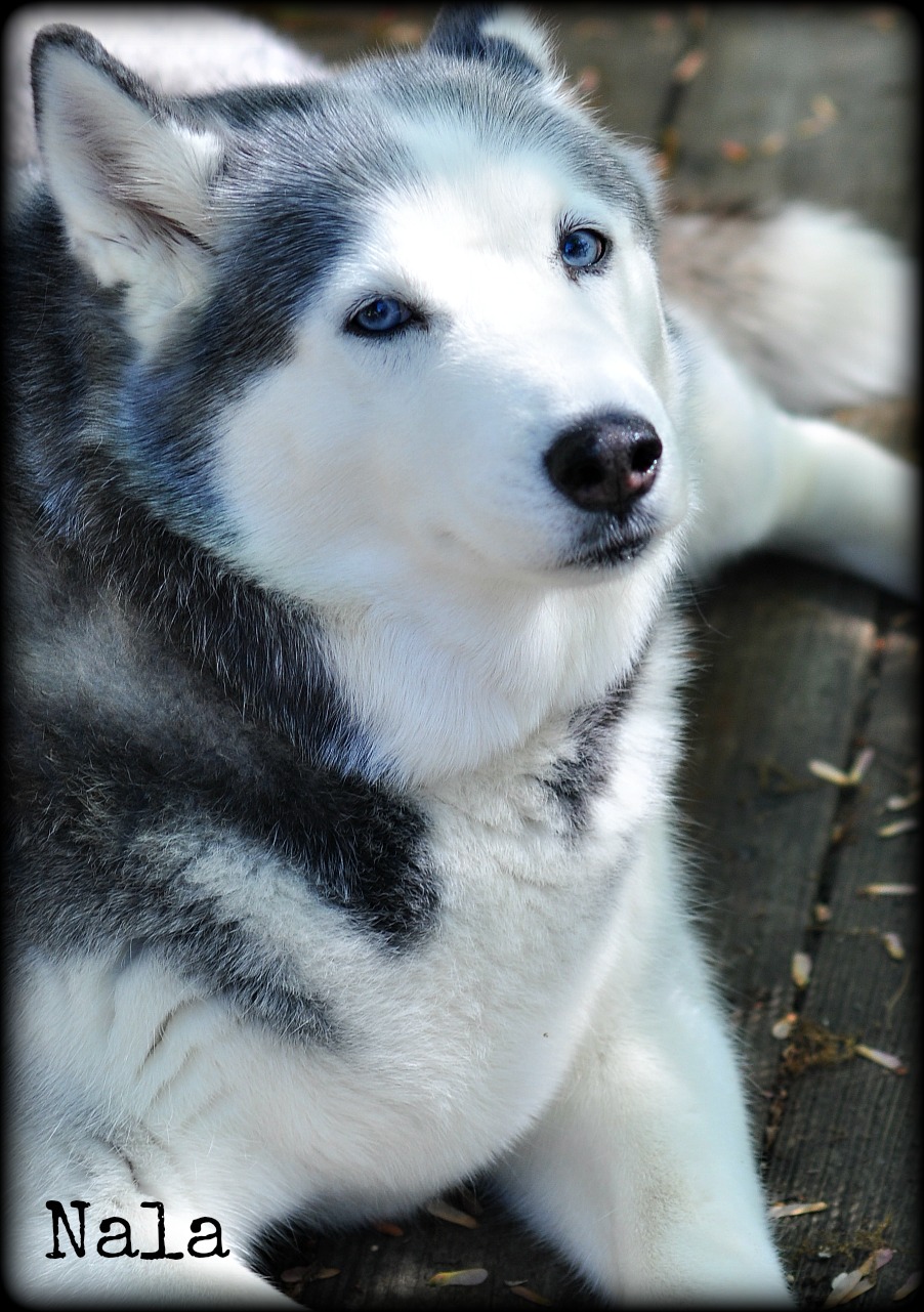 I kissed a girl...and got fur all over me