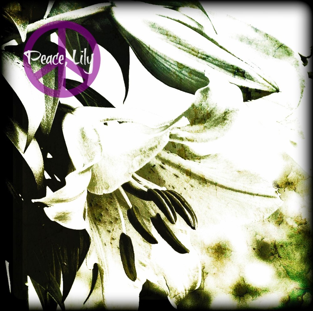 I was playing with Lily & she turned white!