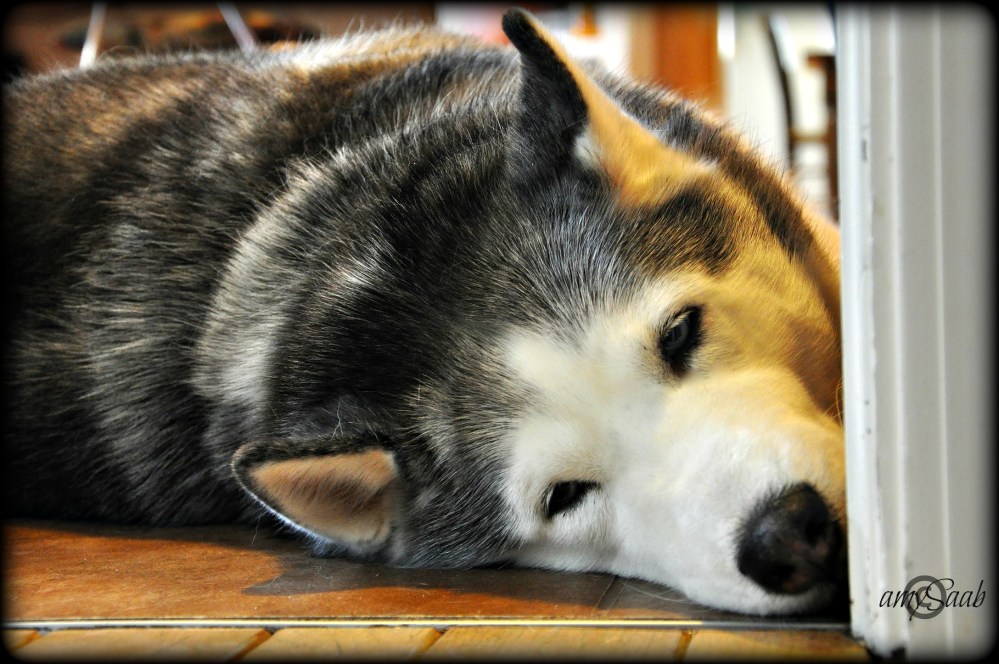 poor baby...she works so hard