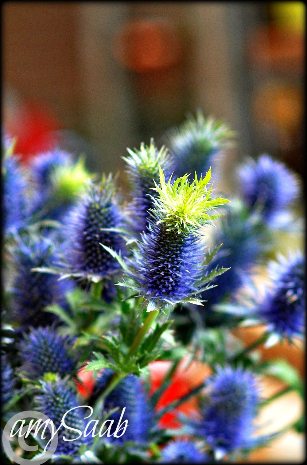 The flowers you give your ex-husband...