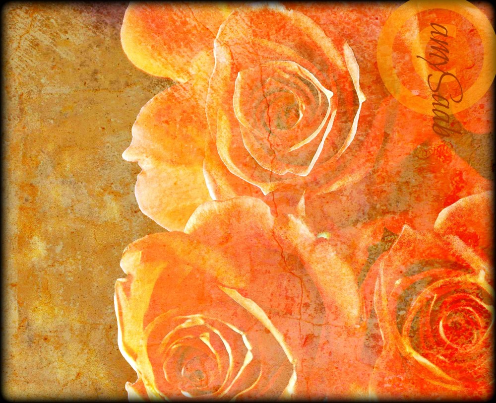 sometimes not enough light to hold the camera steady...