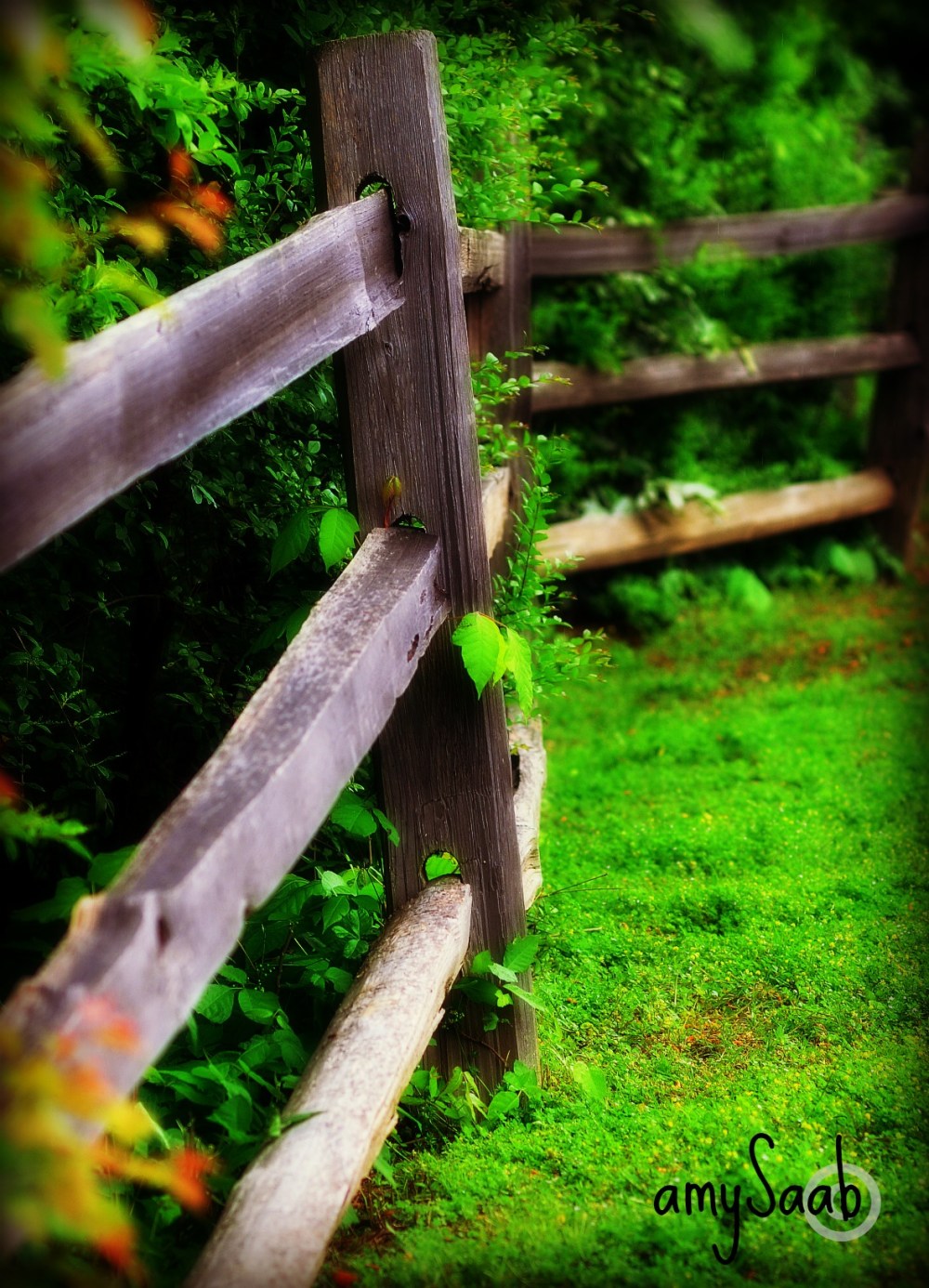good fences...