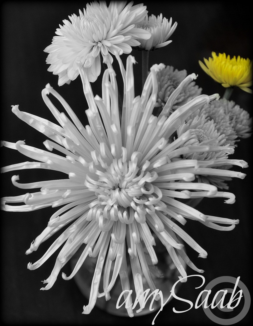 That is pretty courageous for you to show up, Yellow.