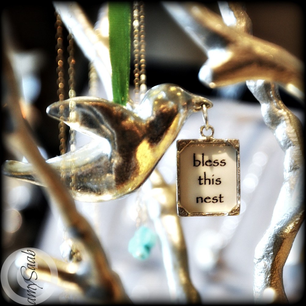 I left Chickadee with one of these birds