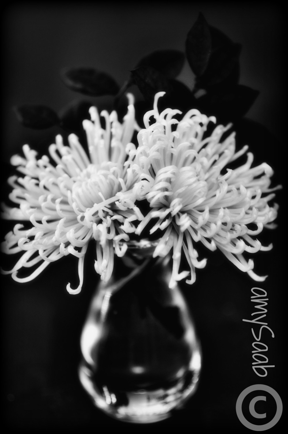 This looks like a muppet