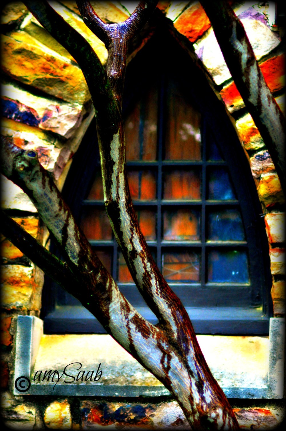 Imagine the sunlight