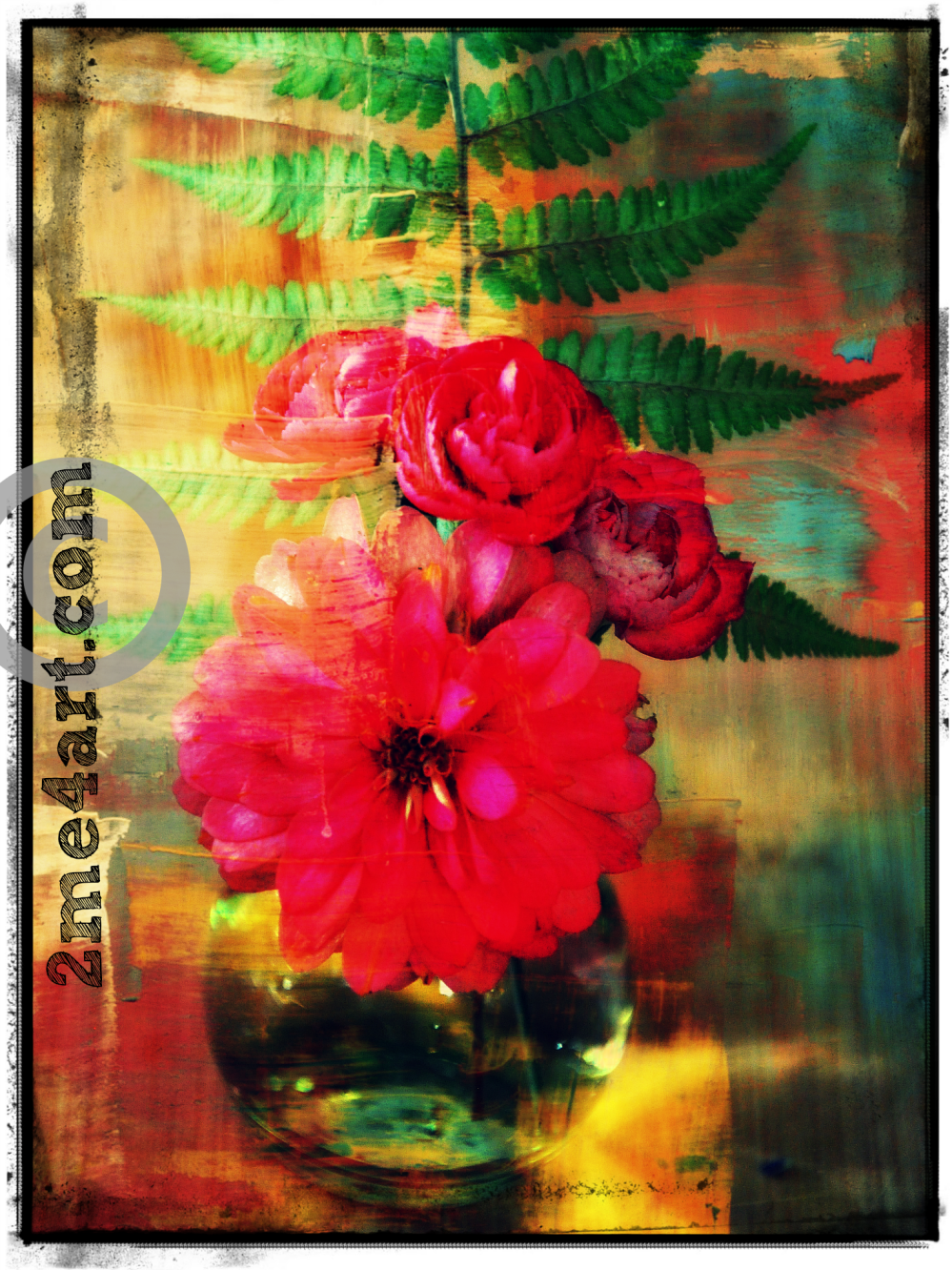 photography & computer programs cheat