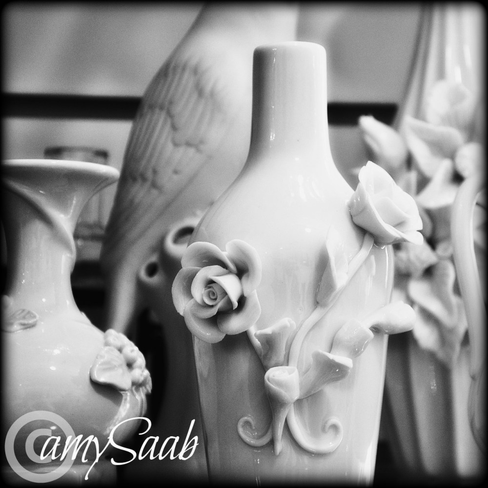 contradiction, flowers holding a vase