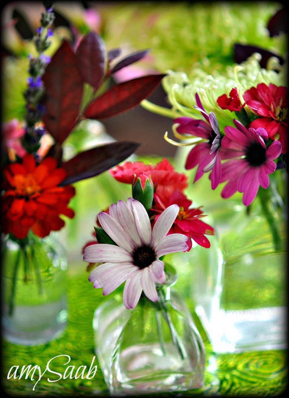 what if i photographed all my flowers on green glass