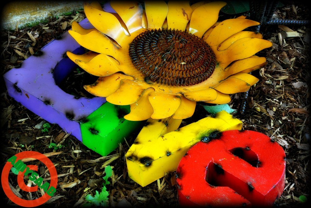 Every Love under the Sun