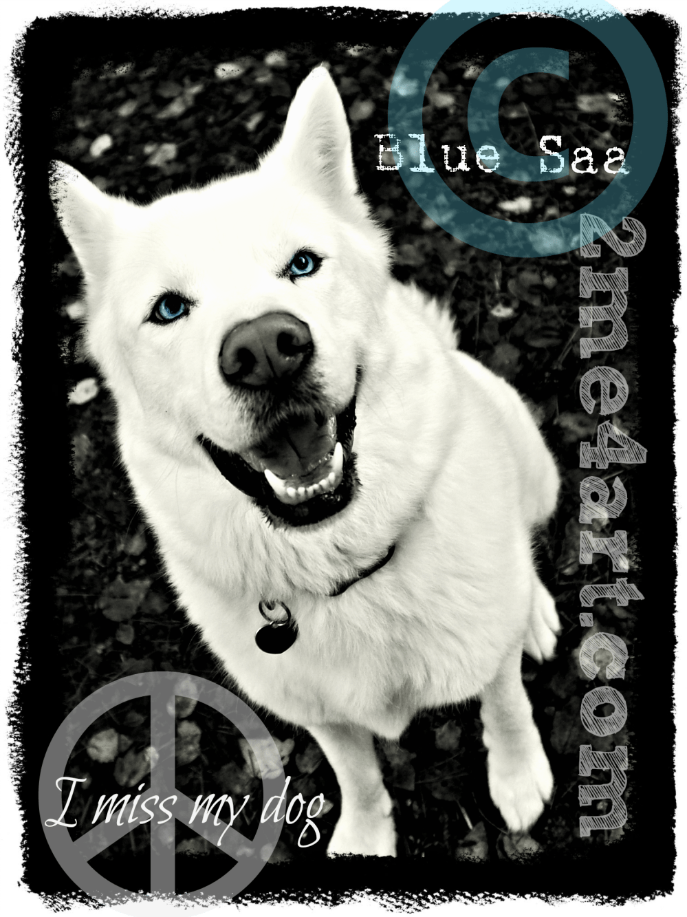 searching through old pictures hurt a bit