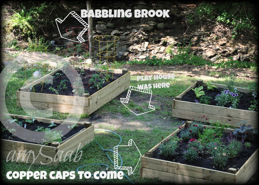 My Mother's Day present 