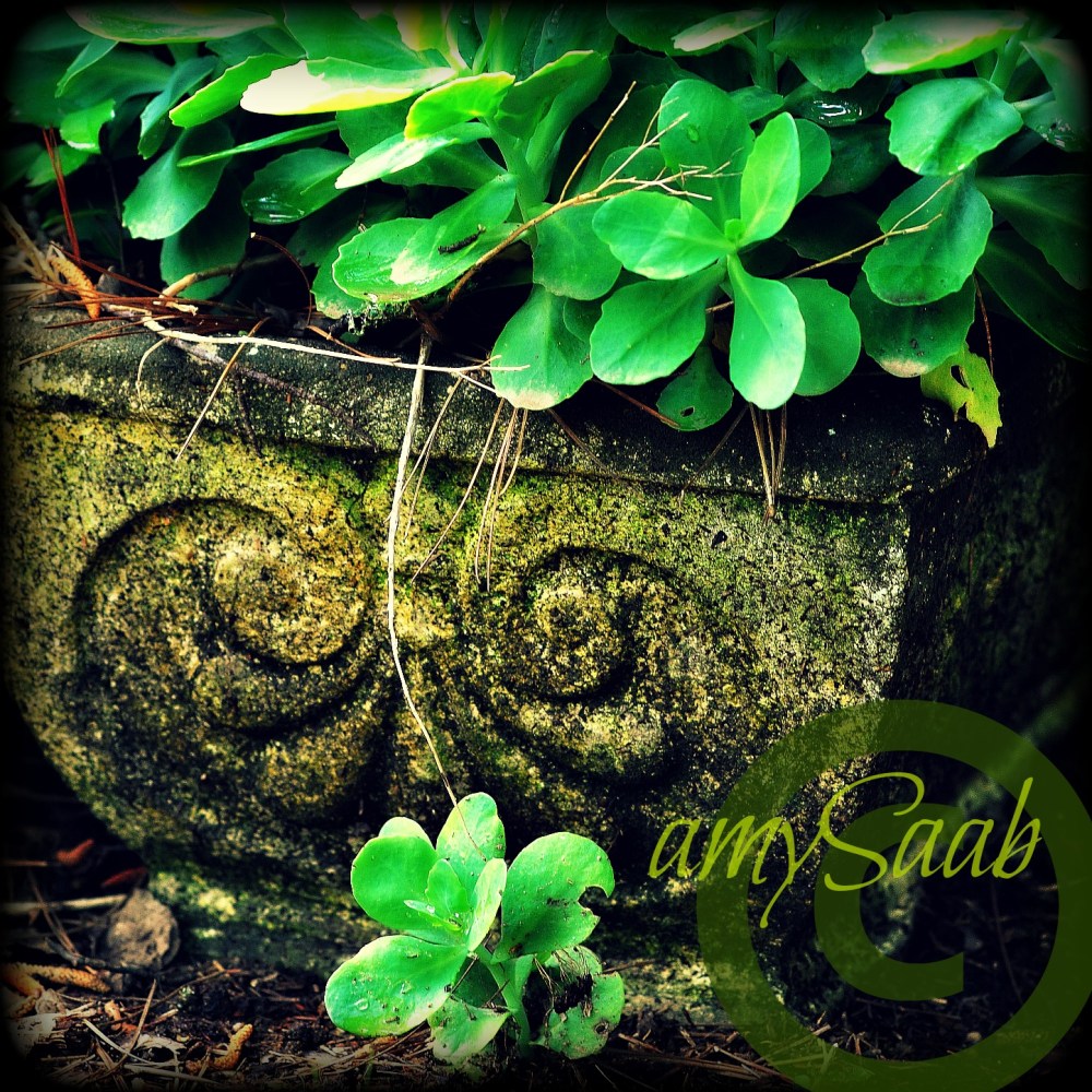 one fell out of the nest