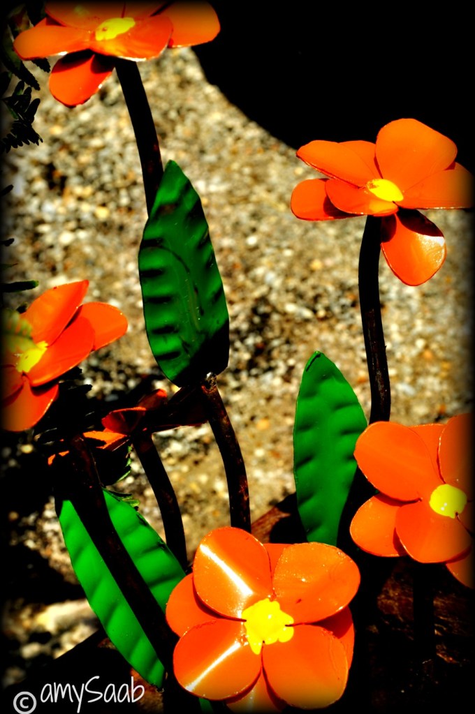 orangeflowers