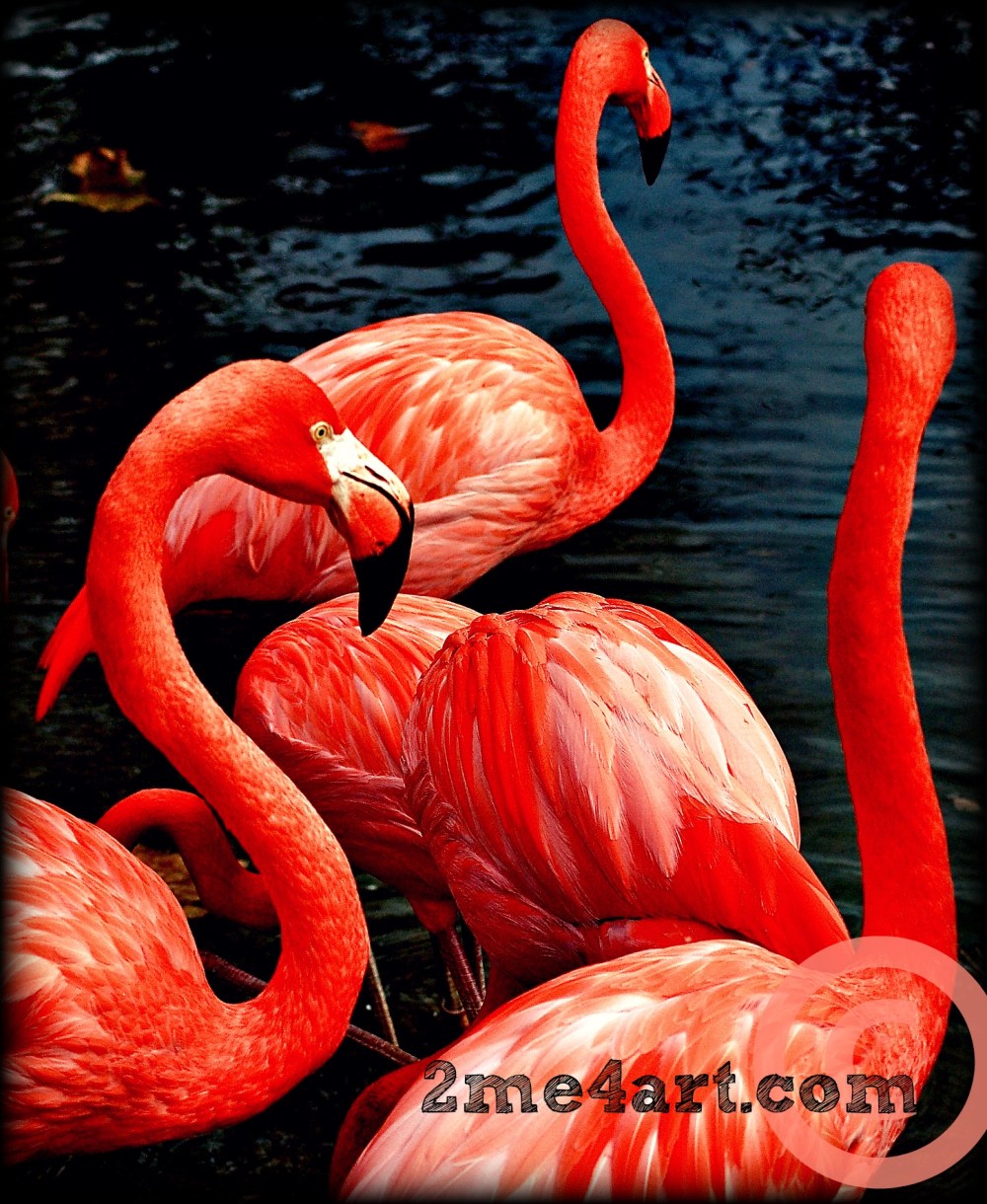 Pink is the in color this year