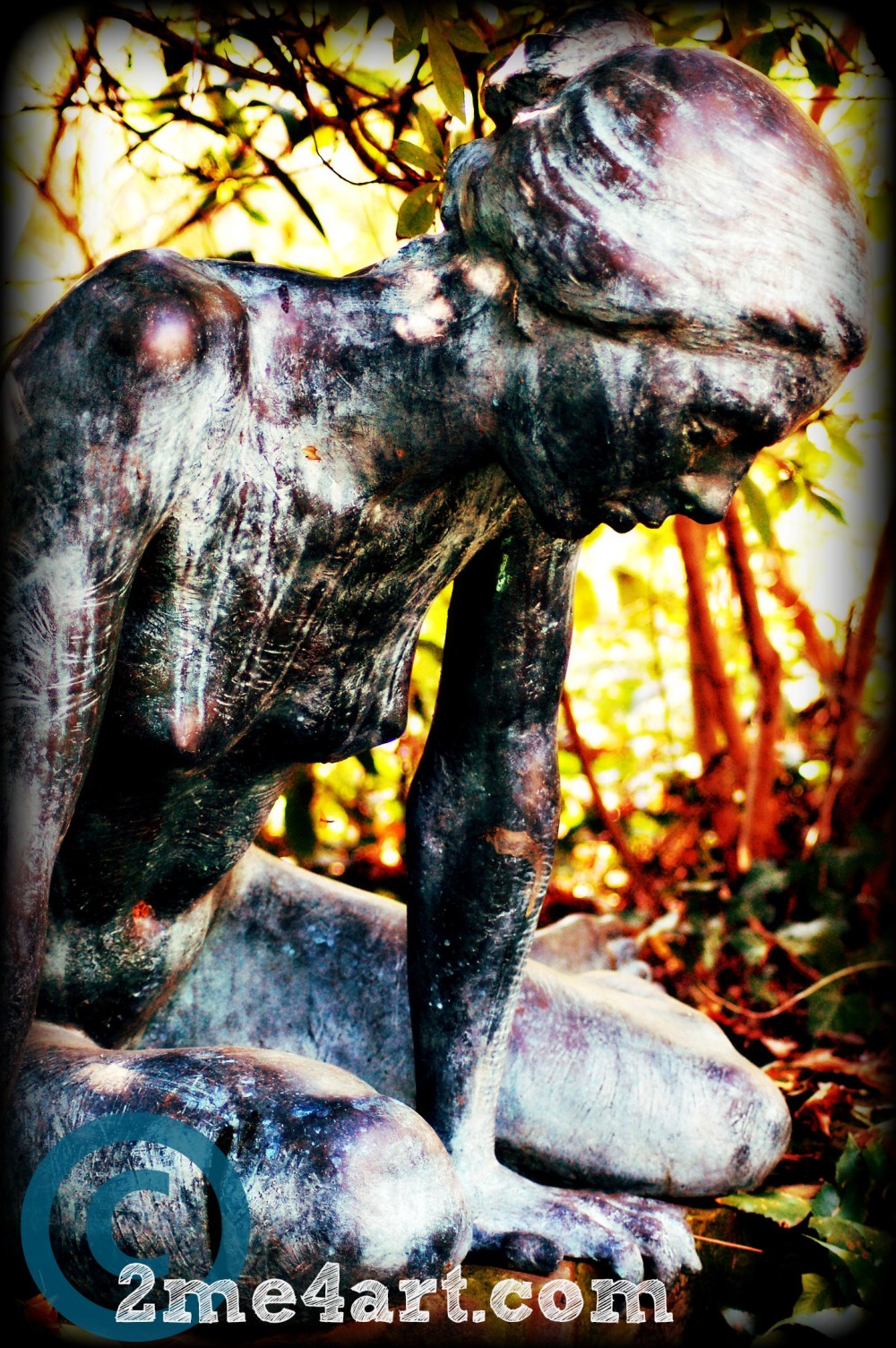 The lady @ the Birmingham Botanical Gardens