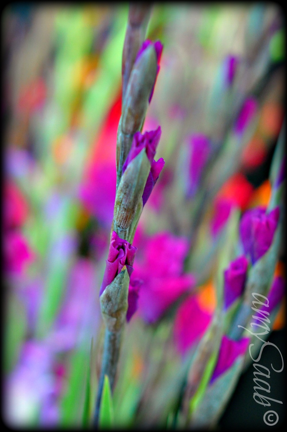 I think this one came out pretty good