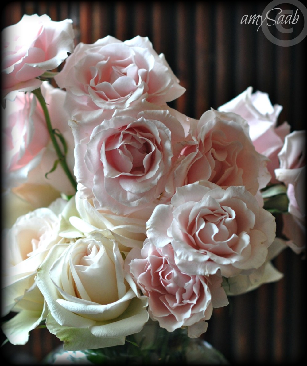 beautiful flowers, unhappy place