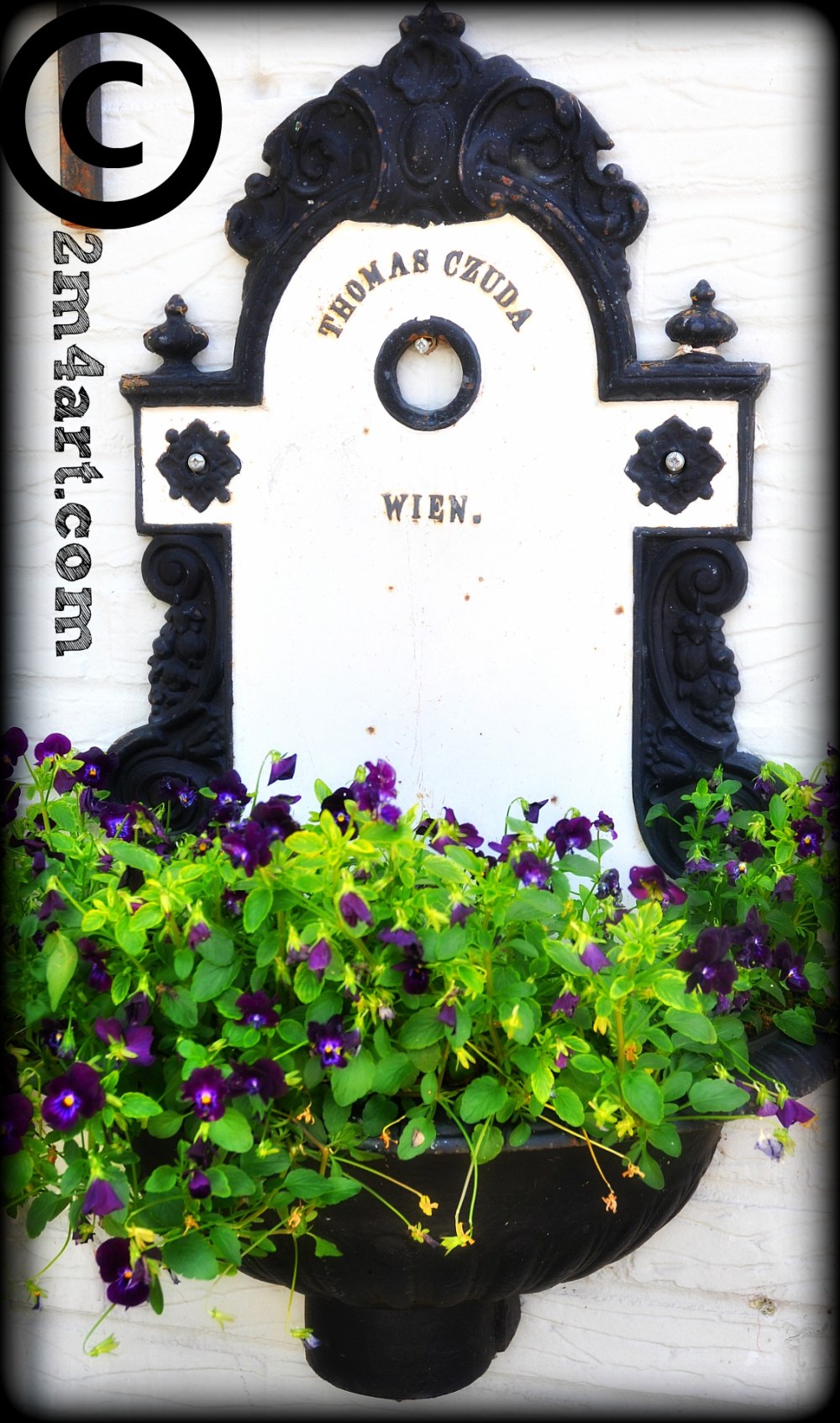 Wonderful planter outside a store
