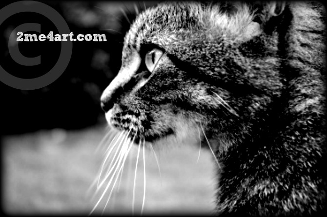 Walter was my best friend