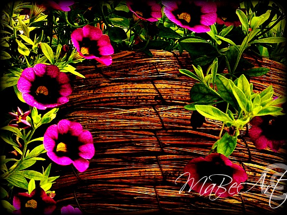basket