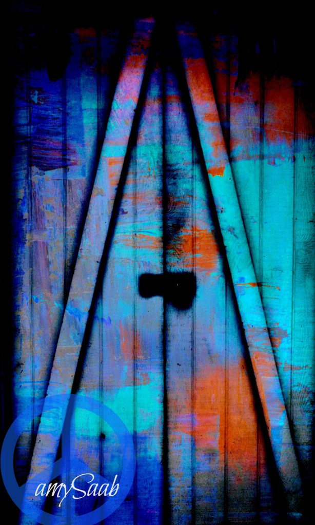 if I had a paintbrush