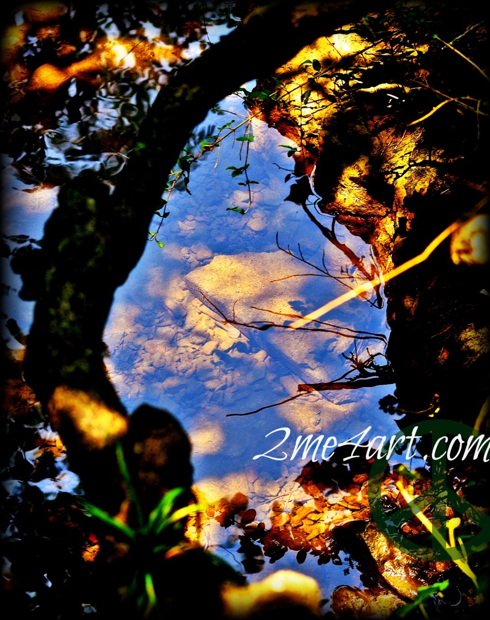 The creek in our backyard