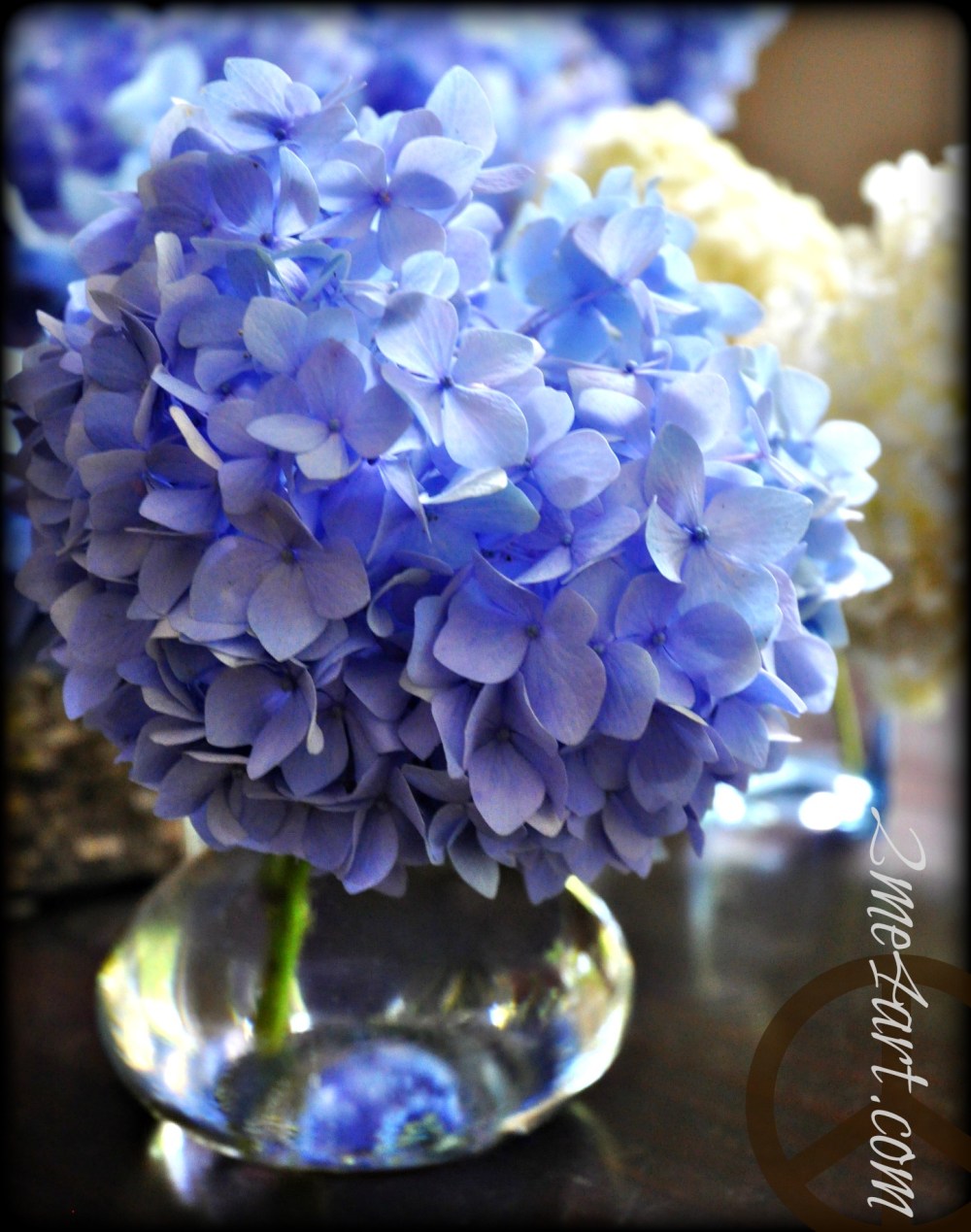 Where I find the coolest vases...for cheap!