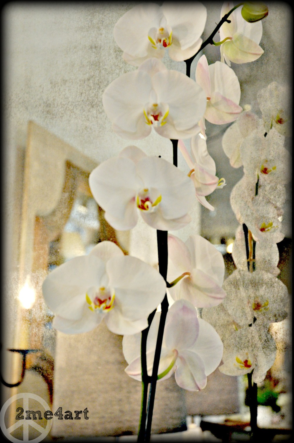 white on white & then reflected in white